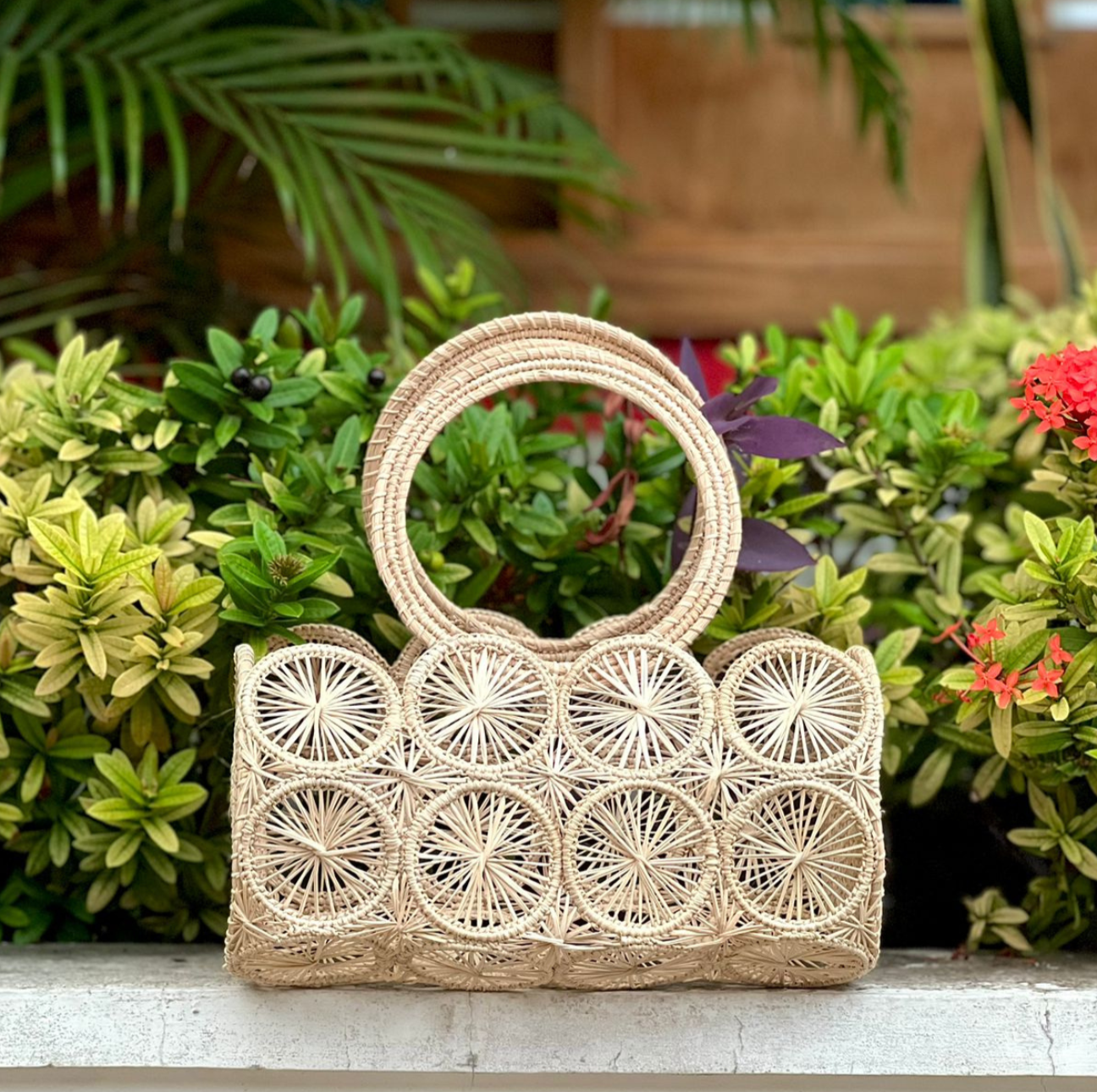 BOLSA NATURAL DE LEMONI